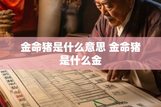 金命猪是什么意思 金命猪是什么金