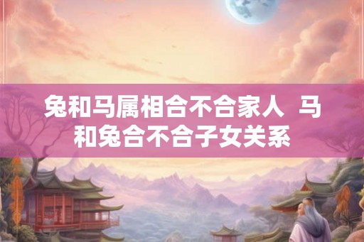 兔和马属相合不合家人  马和兔合不合子女关系
