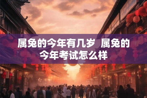 属兔的今年有几岁  属兔的今年考试怎么样