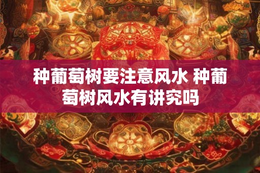 种葡萄树要注意风水 种葡萄树风水有讲究吗