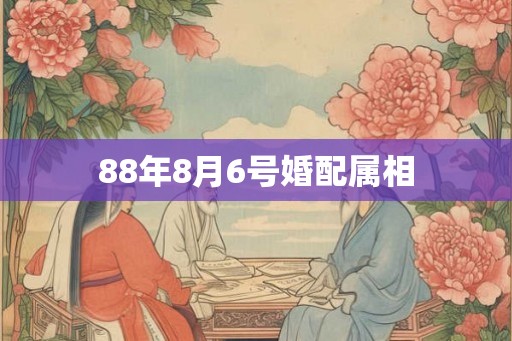 88年8月6号婚配属相