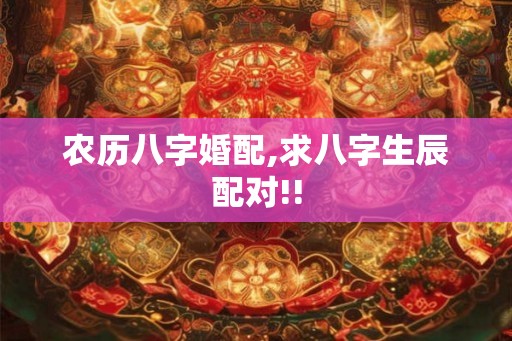 农历八字婚配,求八字生辰配对!!