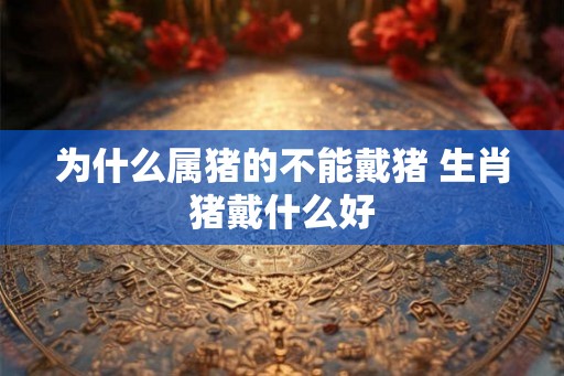 为什么属猪的不能戴猪 生肖猪戴什么好 为什么属猪的不能戴猪 生肖猪戴什么好