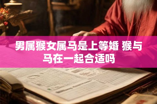 男属猴女属马是上等婚 猴与马在一起合适吗