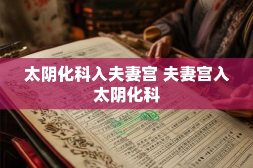 太阴化科入夫妻宫 夫妻宫入太阴化科