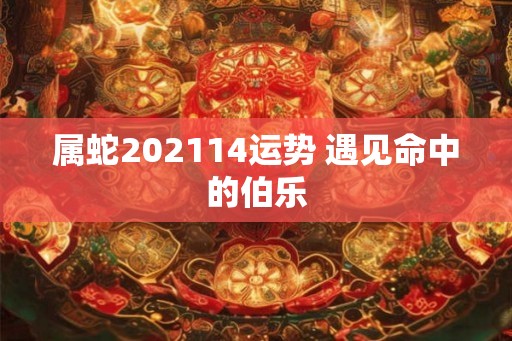 属蛇202114运势 遇见命中的伯乐