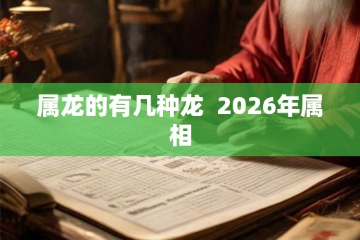属龙的有几种龙  2026年属相