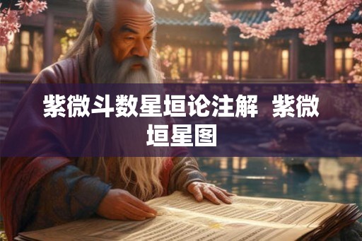 紫微斗数星垣论注解  紫微垣星图