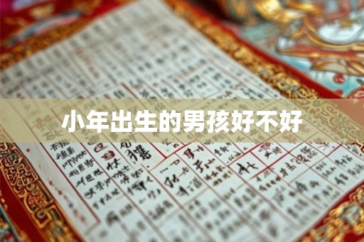 小年出生的男孩好不好