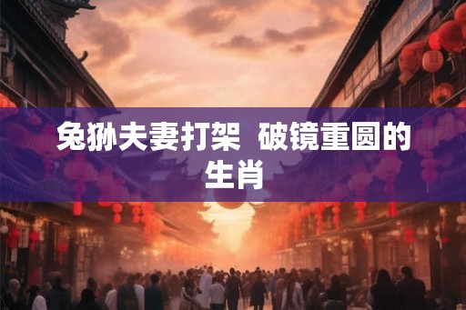兔狲夫妻打架  破镜重圆的生肖