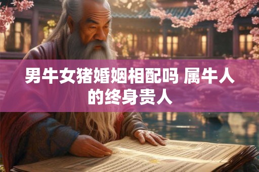 男牛女猪婚姻相配吗 属牛人的终身贵人