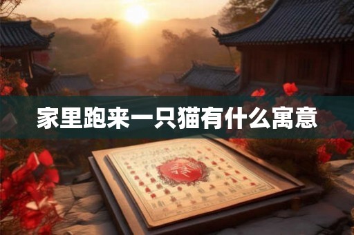家里跑来一只猫有什么寓意