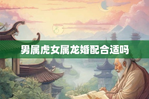 男属虎女属龙婚配合适吗