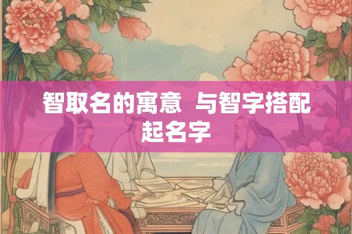 智取名的寓意  与智字搭配起名字