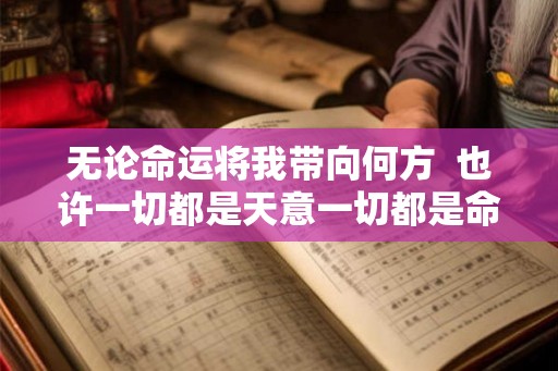 无论命运将我带向何方  也许一切都是天意一切都是命运