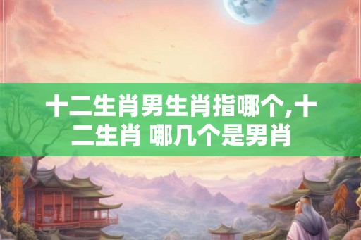 十二生肖男生肖指哪个,十二生肖 哪几个是男肖
