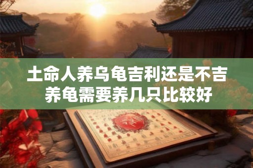 土命人养乌龟吉利还是不吉 养龟需要养几只比较好