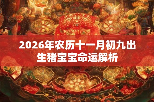 2026年农历十一月初九出生猪宝宝命运解析
