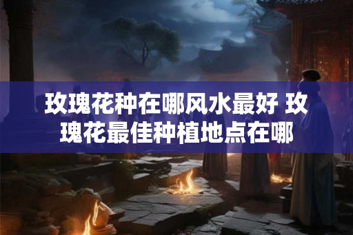 玫瑰花种在哪风水最好 玫瑰花最佳种植地点在哪 玫瑰花种在哪风水最好 玫瑰花最佳种植地点在哪
