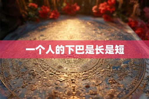 一个人的下巴是长是短