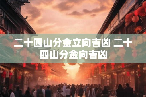二十四山分金立向吉凶 二十四山分金向吉凶