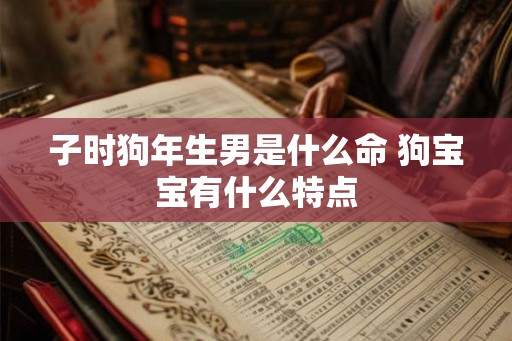 子时狗年生男是什么命 狗宝宝有什么特点