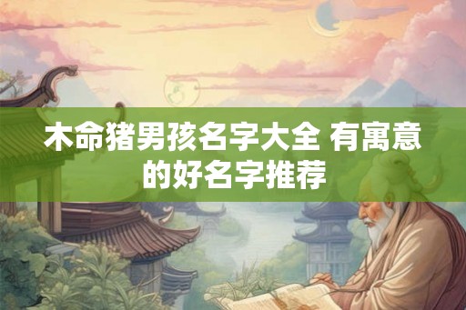 木命猪男孩名字大全 有寓意的好名字推荐