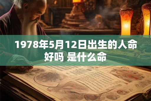 1978年5月12日出生的人命好吗 是什么命 1978年5月12日出生的人命好吗 是什么命