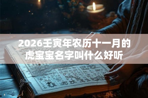 2026壬寅年农历十一月的虎宝宝名字叫什么好听