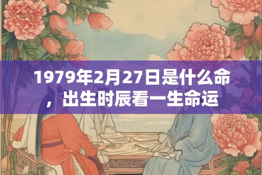 1979年2月27日是什么命，出生时辰看一生命运