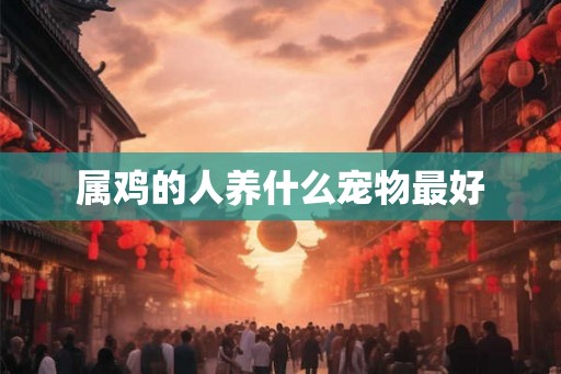 属鸡的人养什么宠物最好 属鸡的人养什么宠物最好