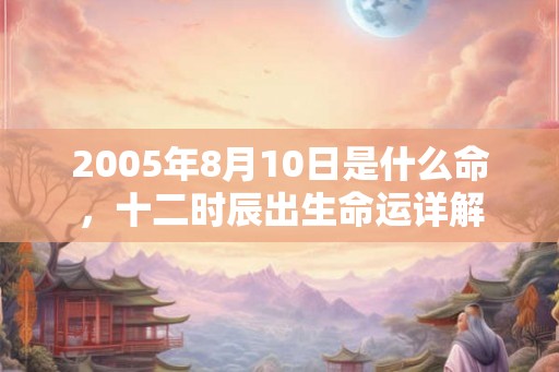 2005年8月10日是什么命，十二时辰出生命运详解