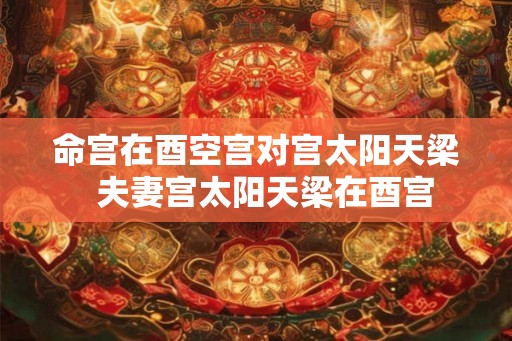 命宫在酉空宫对宫太阳天梁  夫妻宫太阳天梁在酉宫