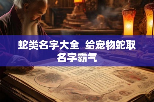 蛇类名字大全  给宠物蛇取名字霸气