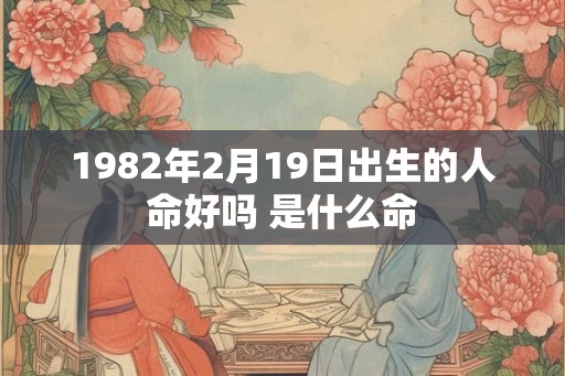 1982年2月19日出生的人命好吗 是什么命