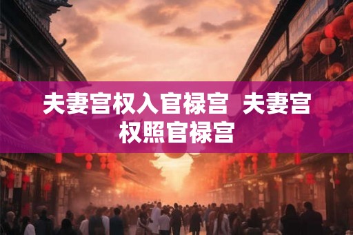 夫妻宫权入官禄宫  夫妻宫权照官禄宫