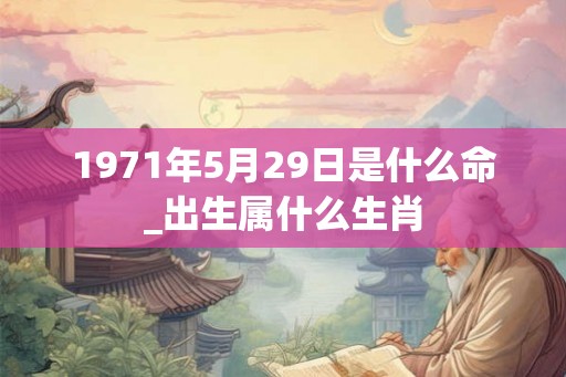 1971年5月29日是什么命_出生属什么生肖