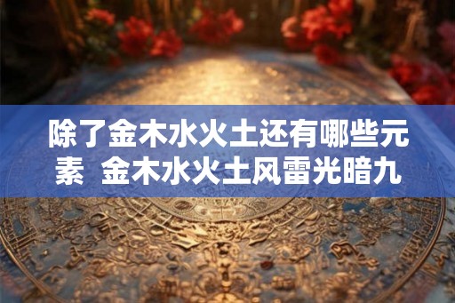 除了金木水火土还有哪些元素  金木水火土风雷光暗九大元素