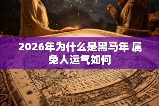 2026年为什么是黑马年 属兔人运气如何 2026年为什么是黑马年 属兔人运气如何