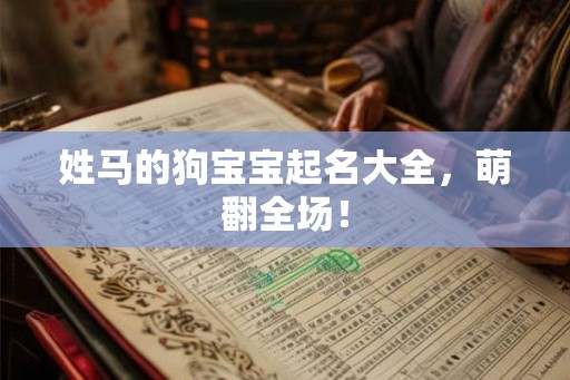姓马的狗宝宝起名大全，萌翻全场！