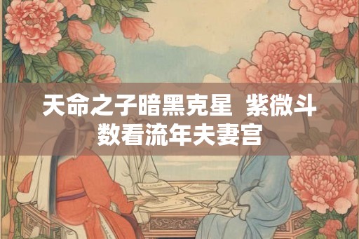 天命之子暗黑克星  紫微斗数看流年夫妻宫