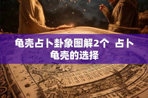 龟壳占卜卦象图解2个  占卜龟壳的选择
