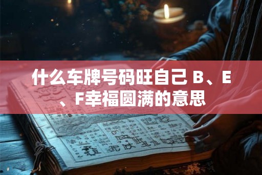 什么车牌号码旺自己 B、E、F幸福圆满的意思 什么车牌号码旺自己 B、E、F幸福圆满的意思