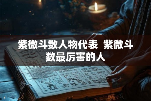 紫微斗数人物代表  紫微斗数最厉害的人