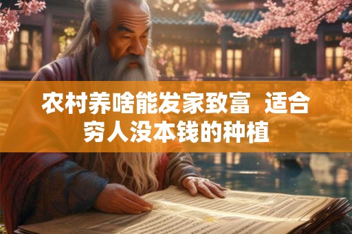农村养啥能发家致富  适合穷人没本钱的种植