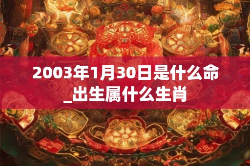 2003年1月30日是什么命_出生属什么生肖