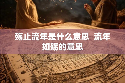 殇止流年是什么意思  流年如殇的意思