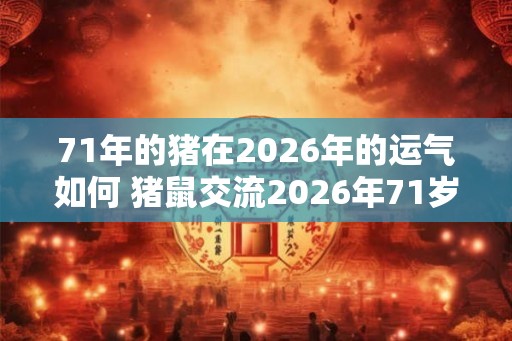71年的猪在2026年的运气如何 猪鼠交流2026年71岁猪的运势如何