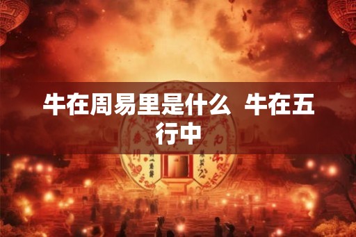 牛在周易里是什么  牛在五行中