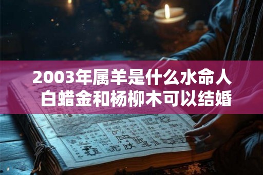 2003年属羊是什么水命人  白蜡金和杨柳木可以结婚吗